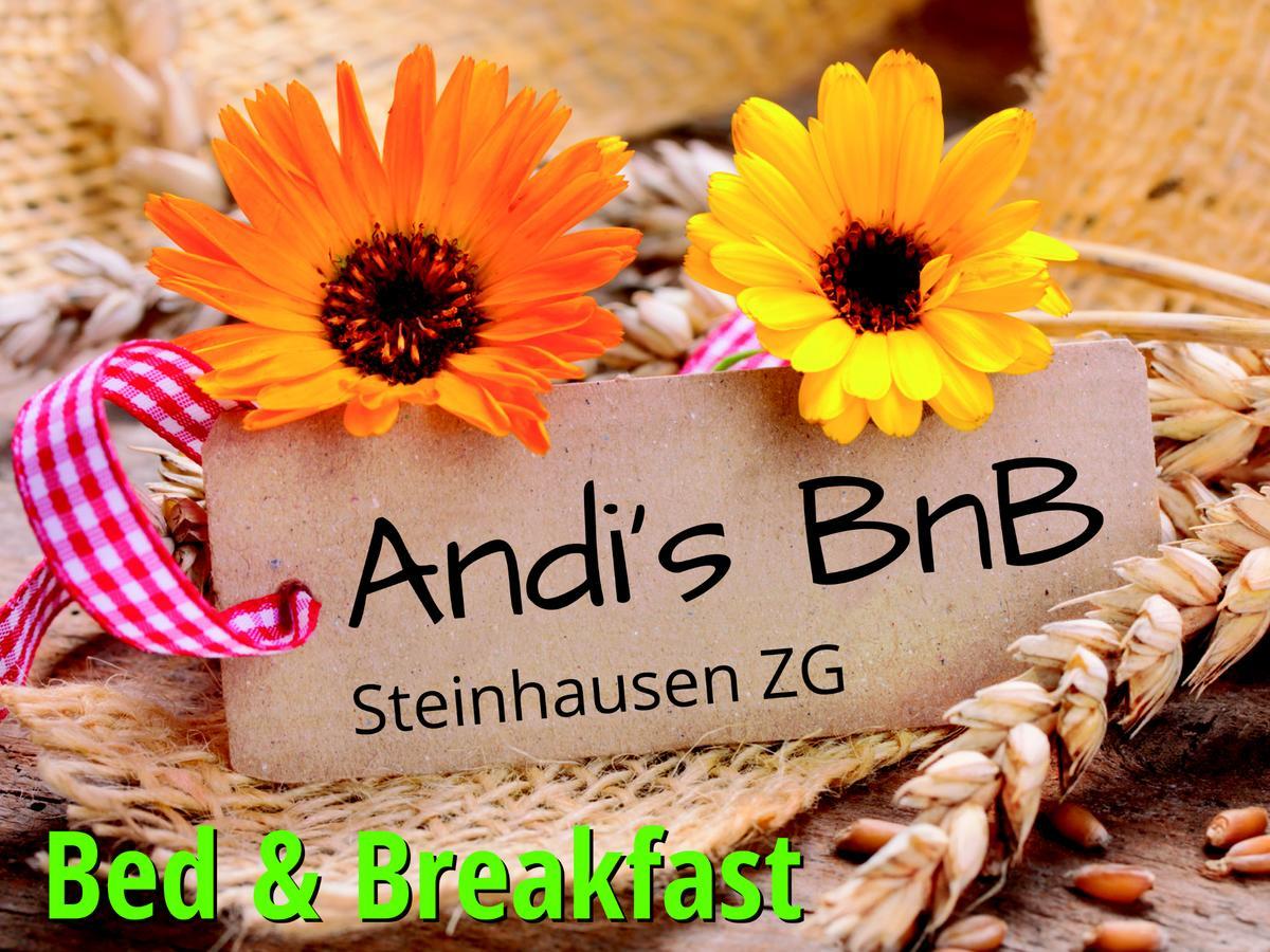 Andi'S Bnb Steinhausen Exterior foto